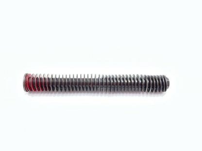 Ruger American 45acp pistol recoil spring