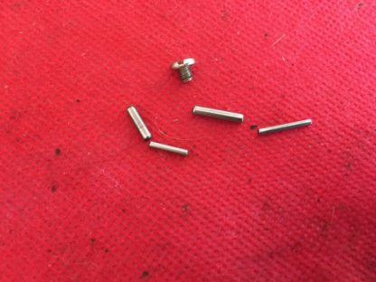 Bryco Jennings J-22 22lr pistol 4 pins, screw