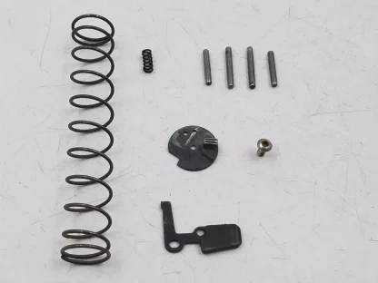 Davis P-380 380 ACP Pistol parts: Cam, Safety, Recoil Spring, Spring, Screw&Pins