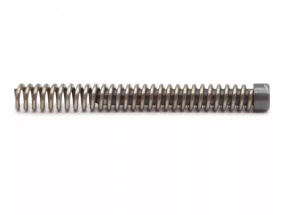 Browning Model Challenger III, 22LR Pistol Parts: Mainspring & Plunger