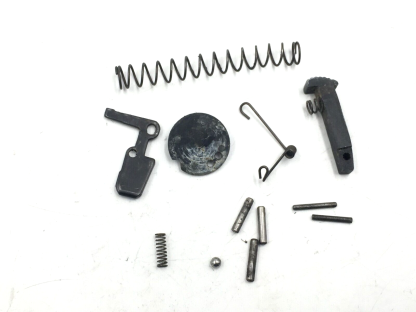 Phoenix Arms Raven .25ACP, Pistol Parts: Cam, Safety, Mag Catch, Pins, Springs