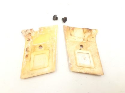 Phoenix Raven, 25 ACP Pistol Parts: Grips & Screws - Image 2