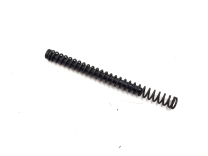 AMT Backup .380 ACP, Pistol Parts: Recoil Spring