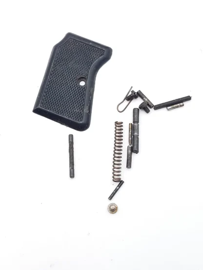 FIE Titan 25 ACP Pistol Parts: Grip Panel, Pins, Screws, & Springs