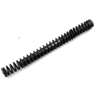 AMT Backup .380 ACP, Pistol Parts: Recoil Spring, Guide