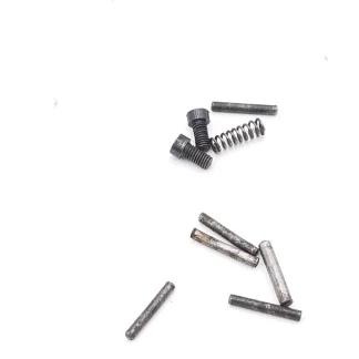 Rigarmi Brescia 25 ACP Pistol Parts: Spring, Screws, & Pins