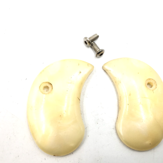 Davis D-22 .22LR, Derringer Parts: Grips, Screws