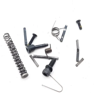 Ruger SR22 .22LR Pistol Parts: Pins, Springs, & Screws